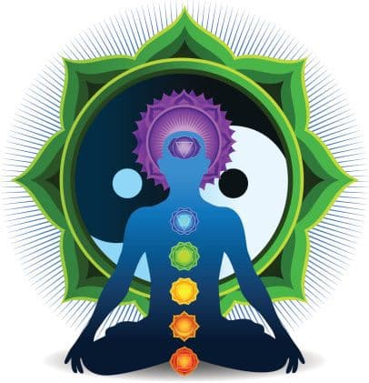 Parcours du praticien